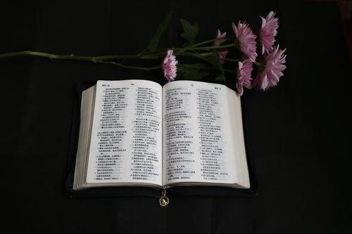 The Bible. 
